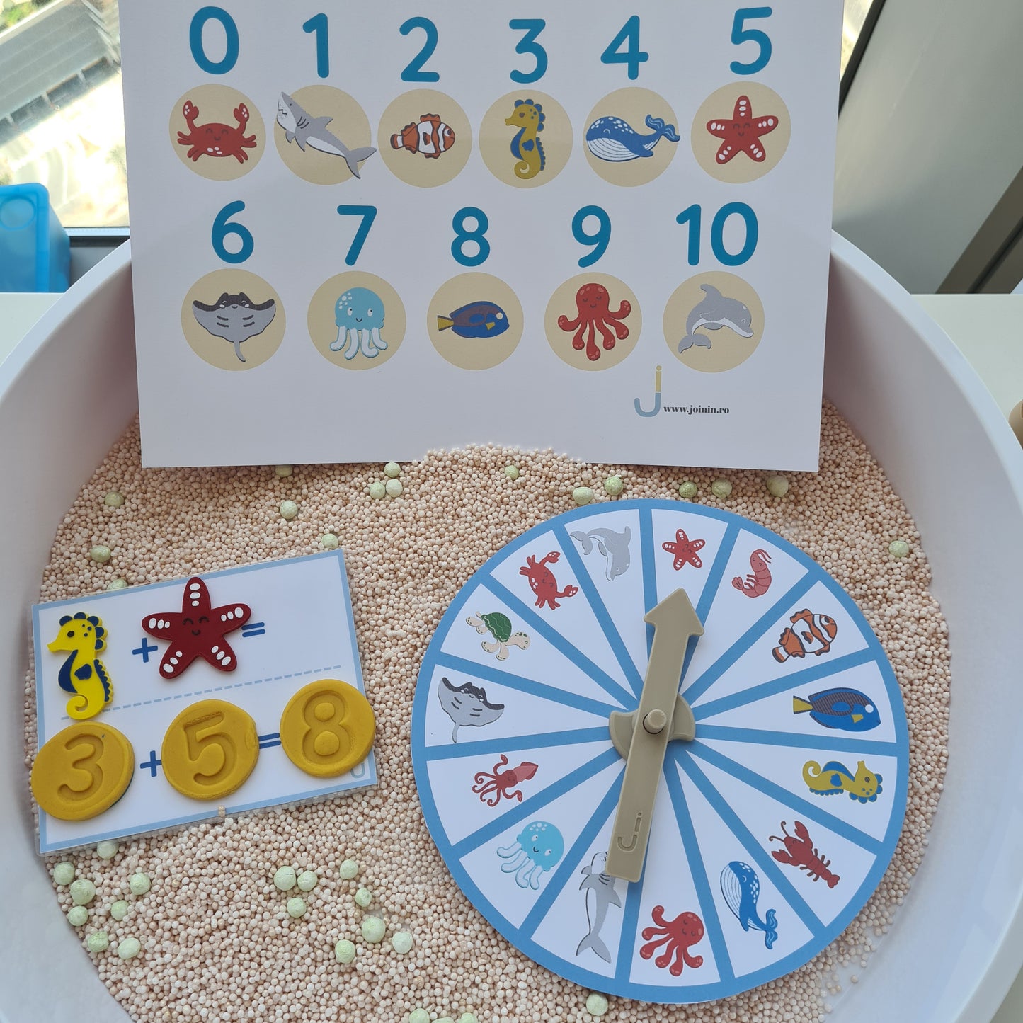 Fisier Digital gratuit - Animale Marine