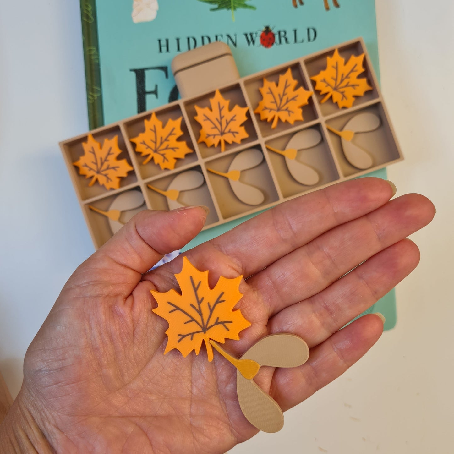 🍁 Comorile Toamnei: Fructe și Frunze din Pădure