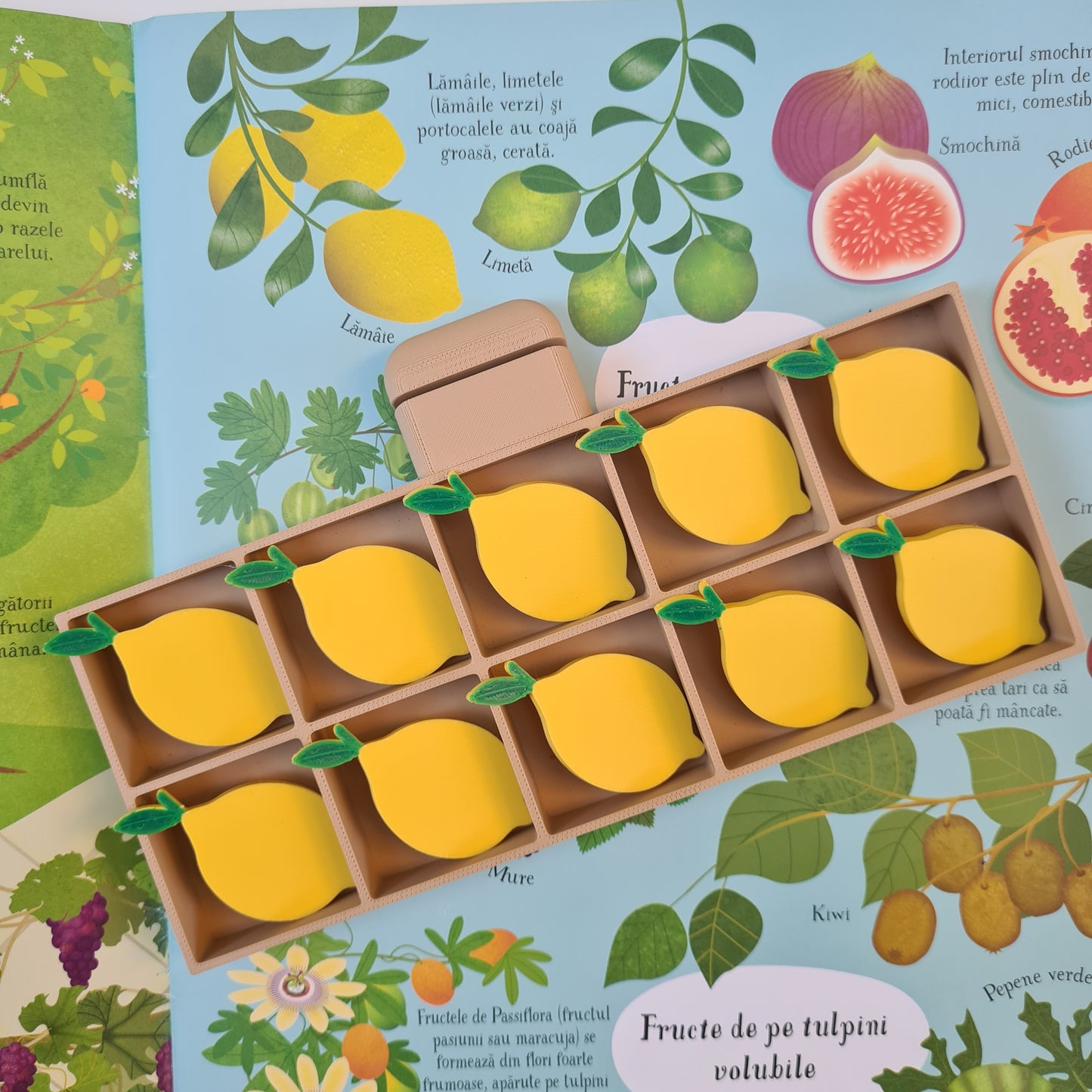 š CoČul Fermecat cu Fructe