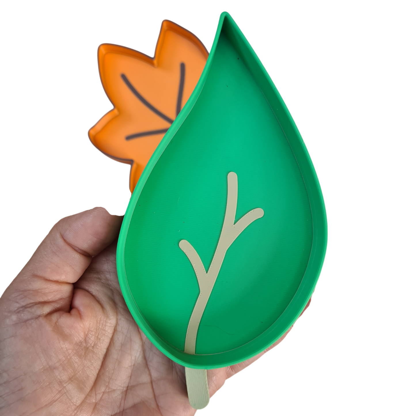 Set Tavite Senzoriale – Frunze