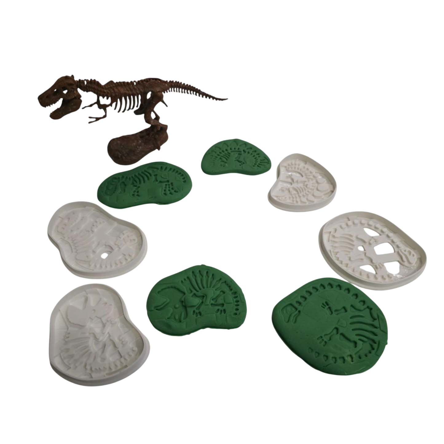 Decupatoare Fosile Dinozaur