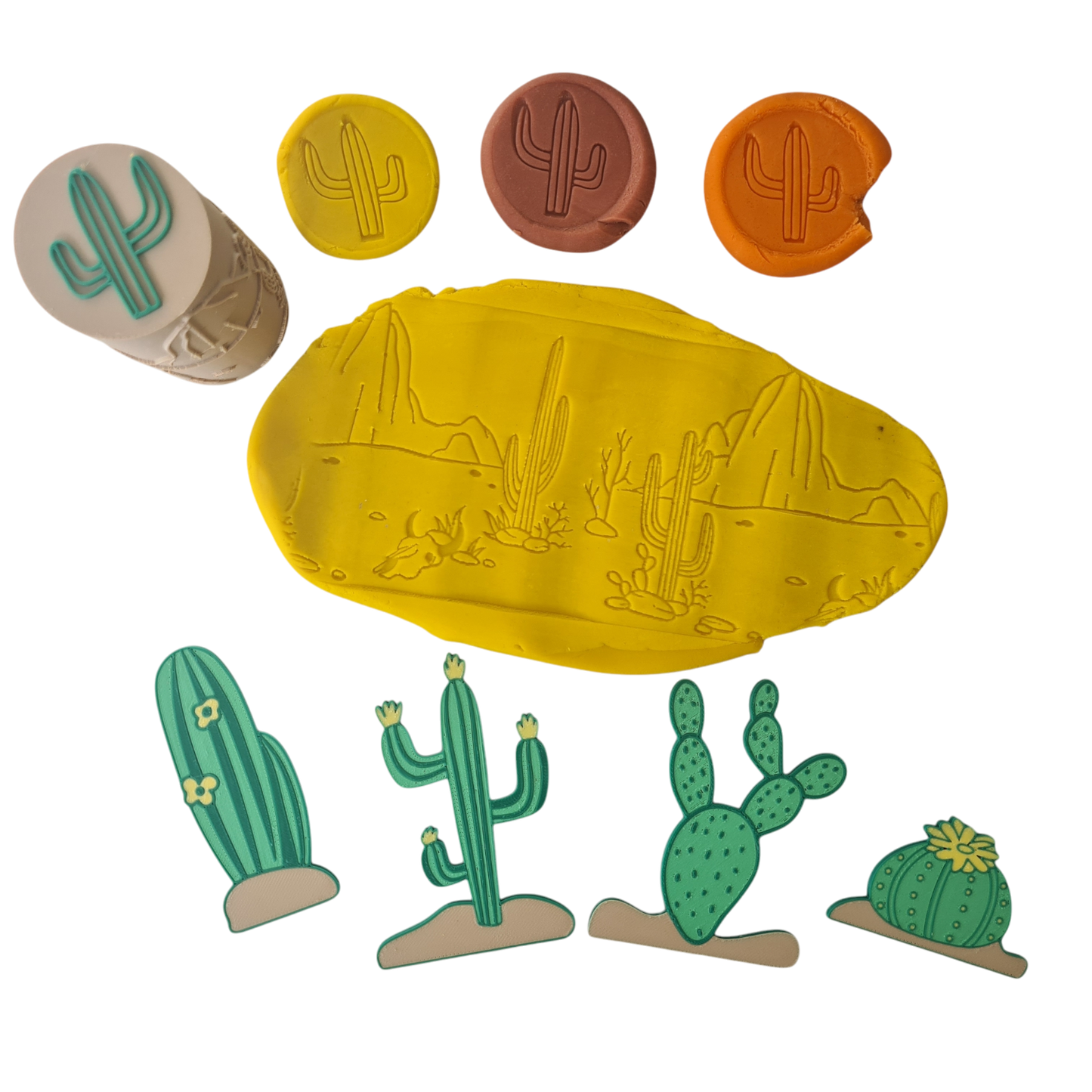 Set de invatare - lumea Cactusilor