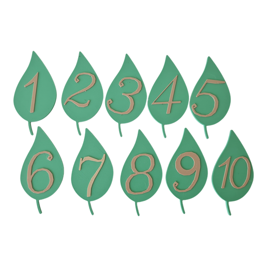 Set Senzorial "Cifre pe Frunză"