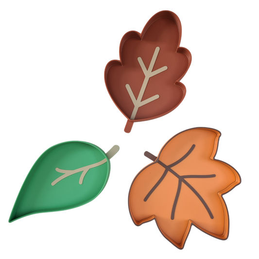 Set Tavite Senzoriale – Frunze