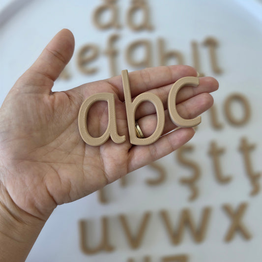 Litere senzoriale - MICI