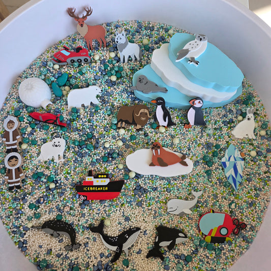 Set Senzorial Aventuri POLARE - piese libere