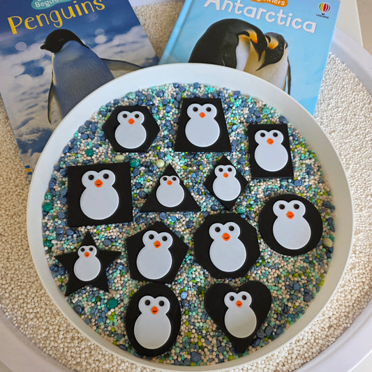 Set Senzorial Pinguini - 12 forme geometrice