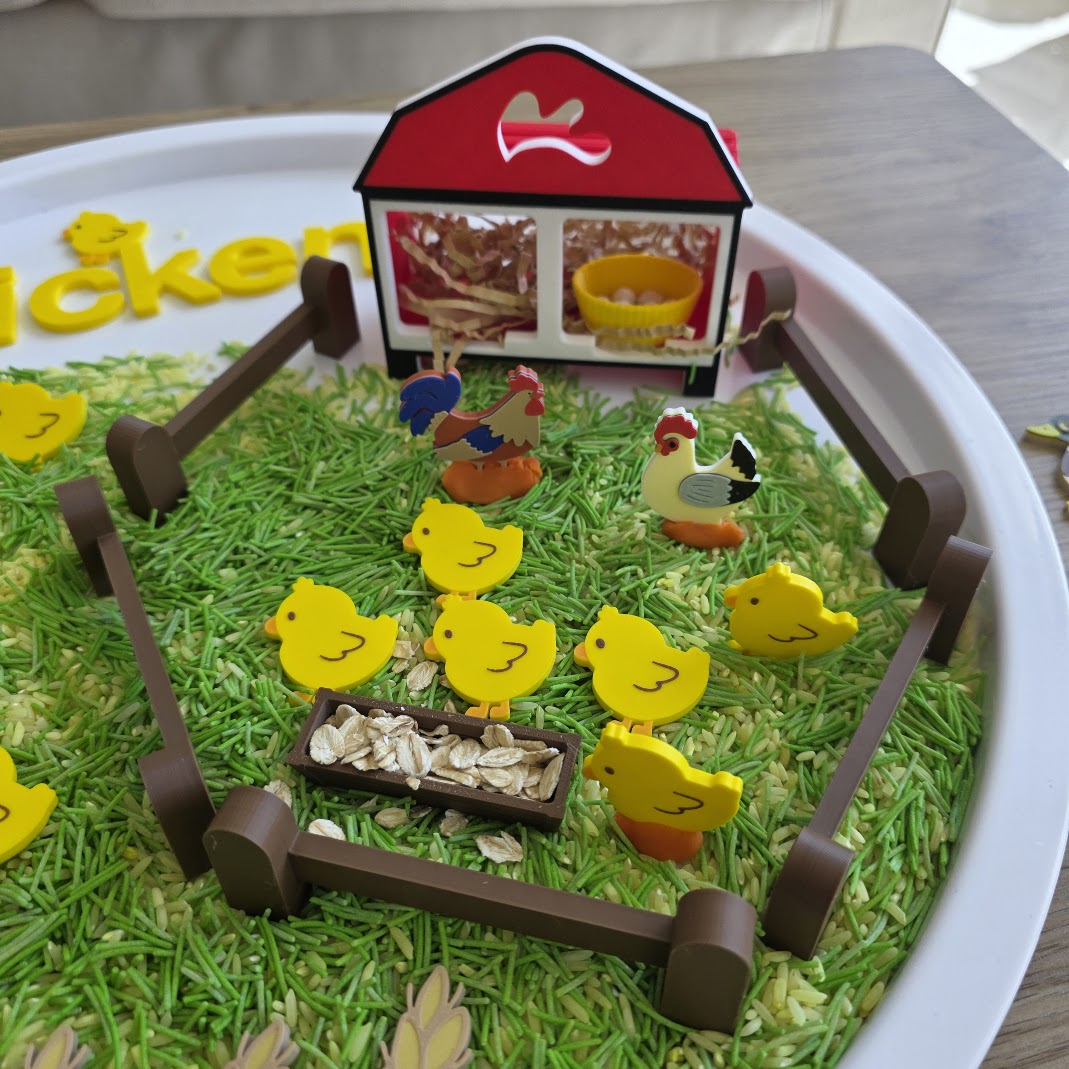 Chicken Coop – Adăpost pentru Joacă