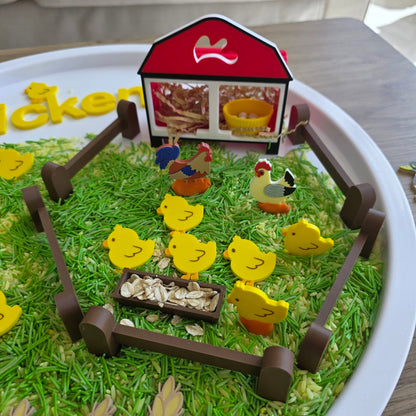 Chicken Coop – Adăpost pentru Joacă