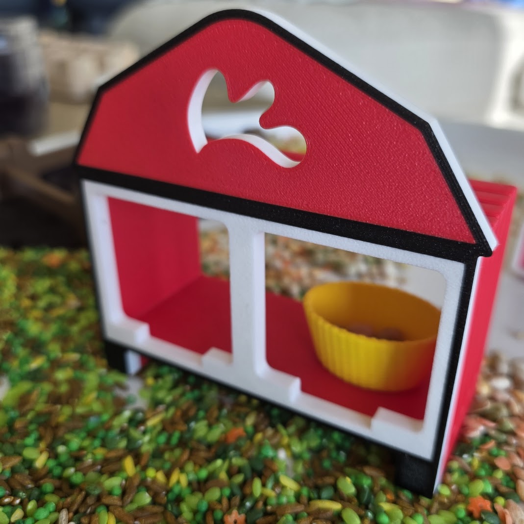 Chicken Coop – Adăpost pentru Joacă