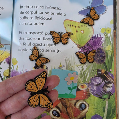 16 Vietati de Primavara – piese libere