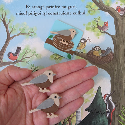 16 Vietati de Primavara – piese libere