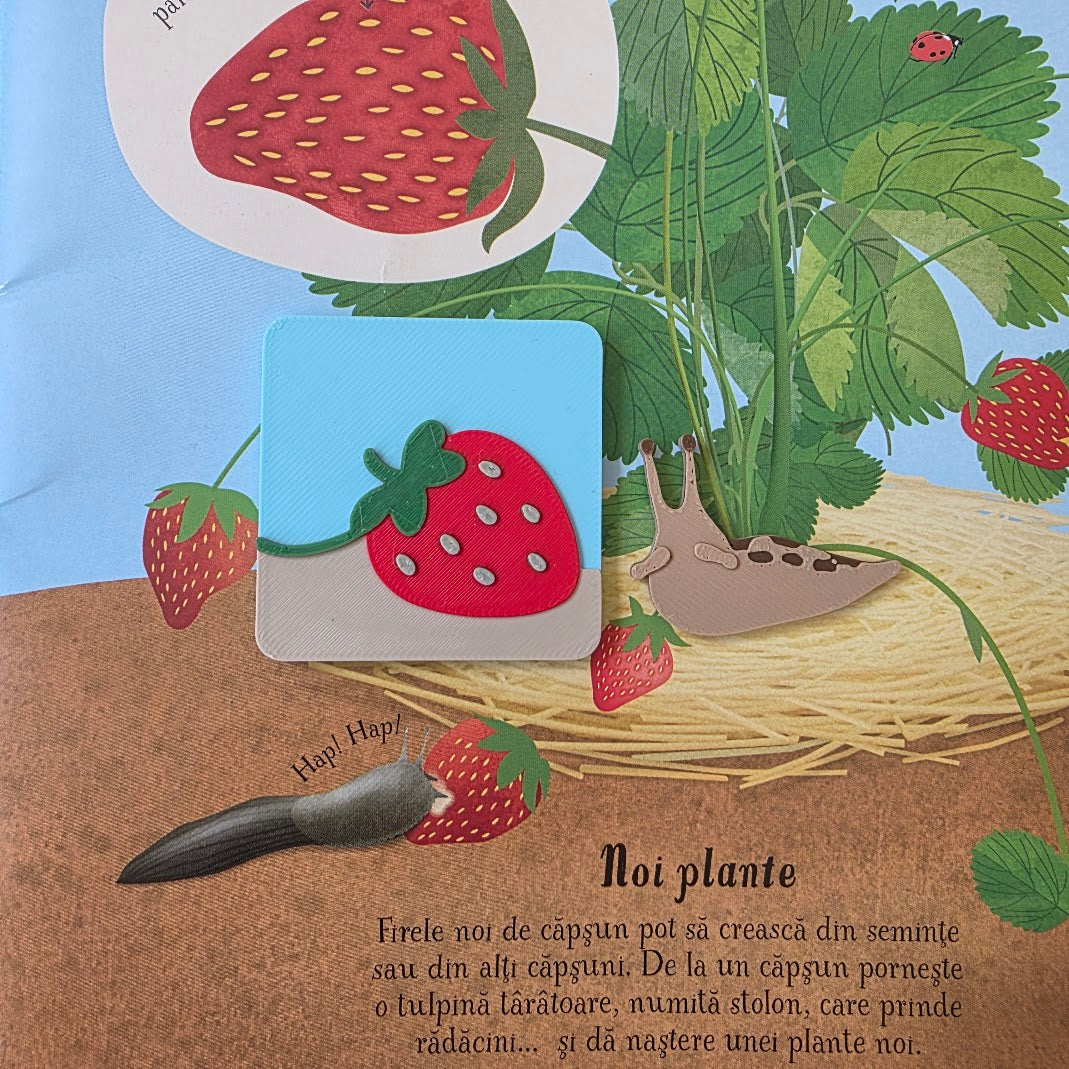 16 Vietati de Primavara – piese libere
