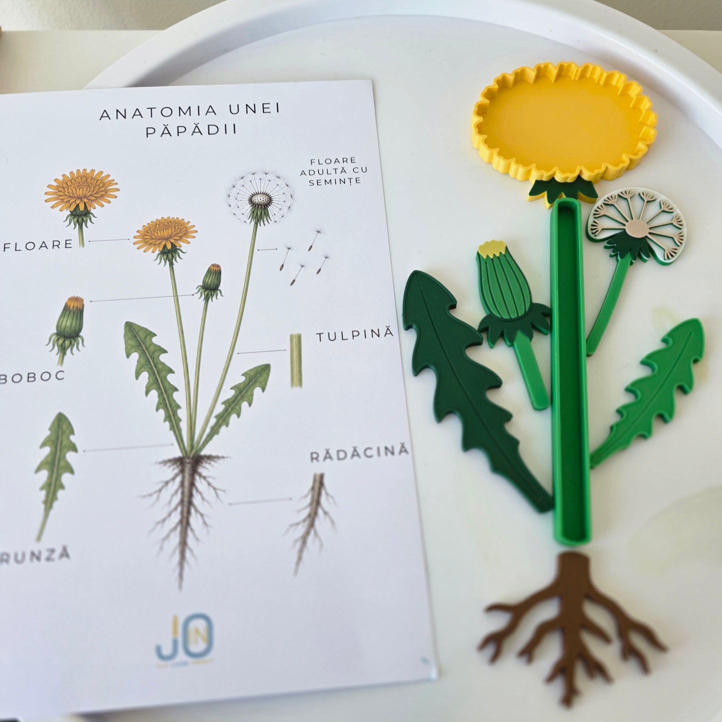 Păpădia – Set educativ