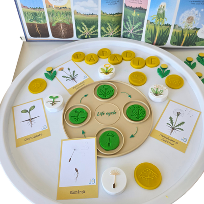 Păpădia – Set educativ