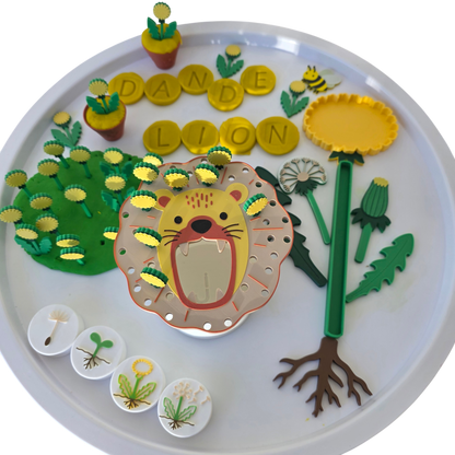 Păpădia – Set educativ