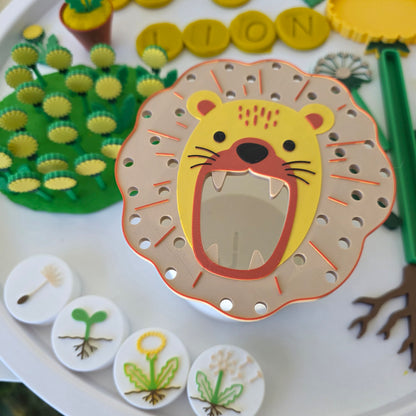 Păpădia – Set educativ