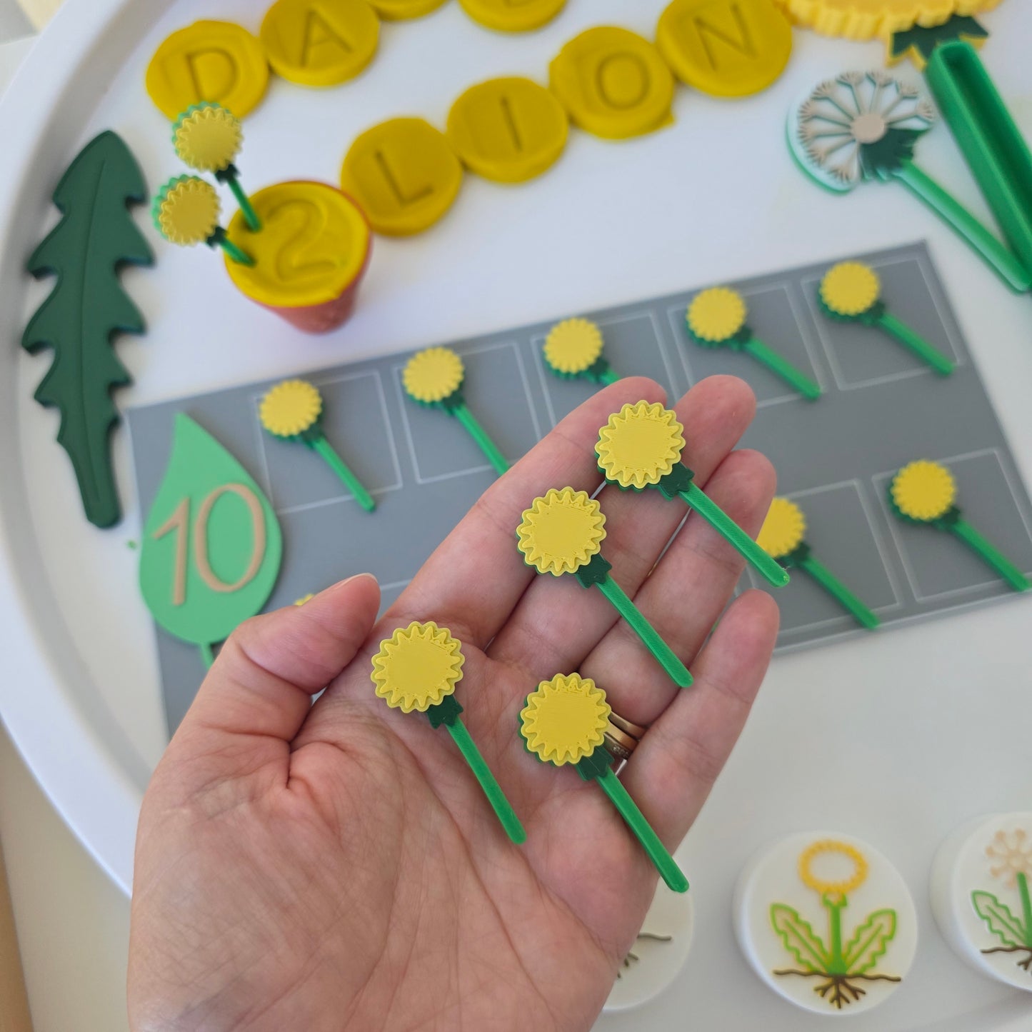 Păpădia – Set educativ
