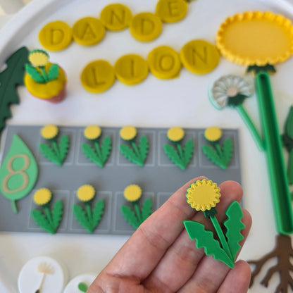 Păpădia – Set educativ