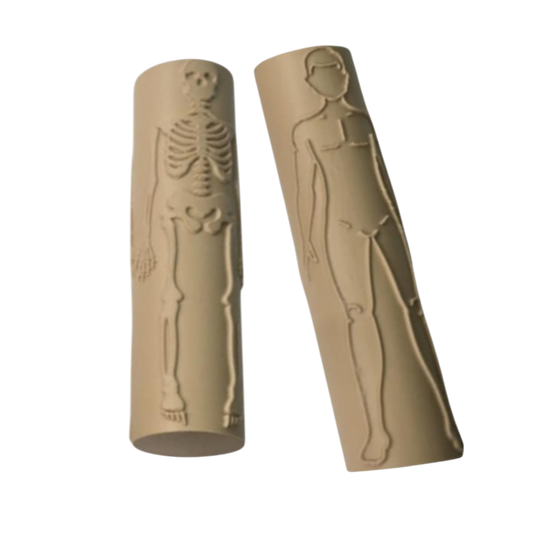 Rola Educațională: Corpul Uman și Scheletul