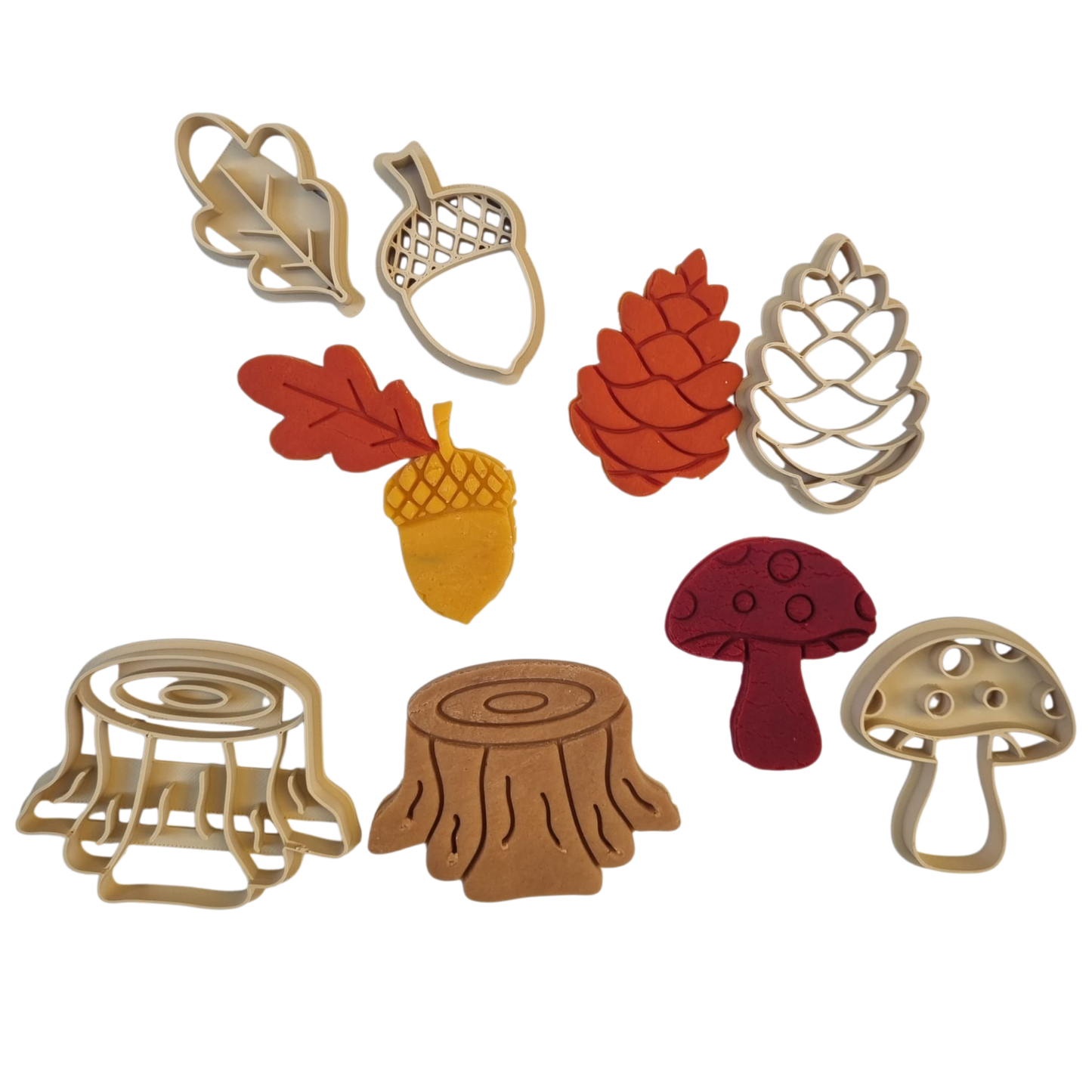 Decupatoare Bogatiile Padurii