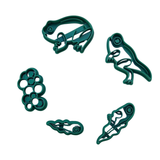 Decupatoare Ciclul de viata - Broscuta