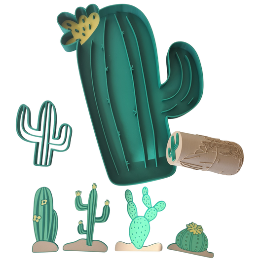 Set de invatare - lumea Cactusilor