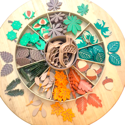 🍁 Comorile Toamnei: Fructe și Frunze din Pădure