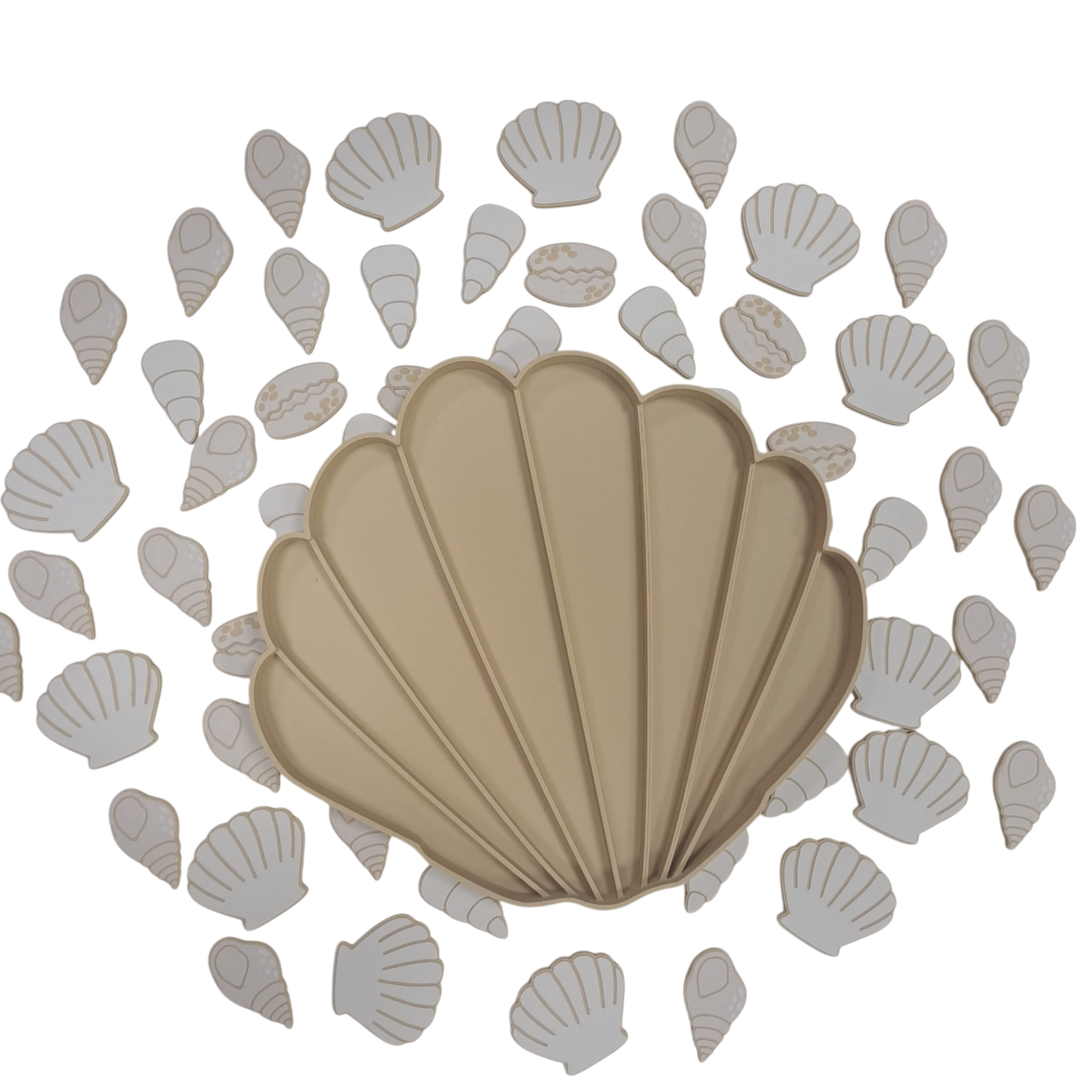 Tava senzoriala mare - Scoica